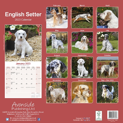 English Setter Calendar 2023 (Square) | Dogs Naturally